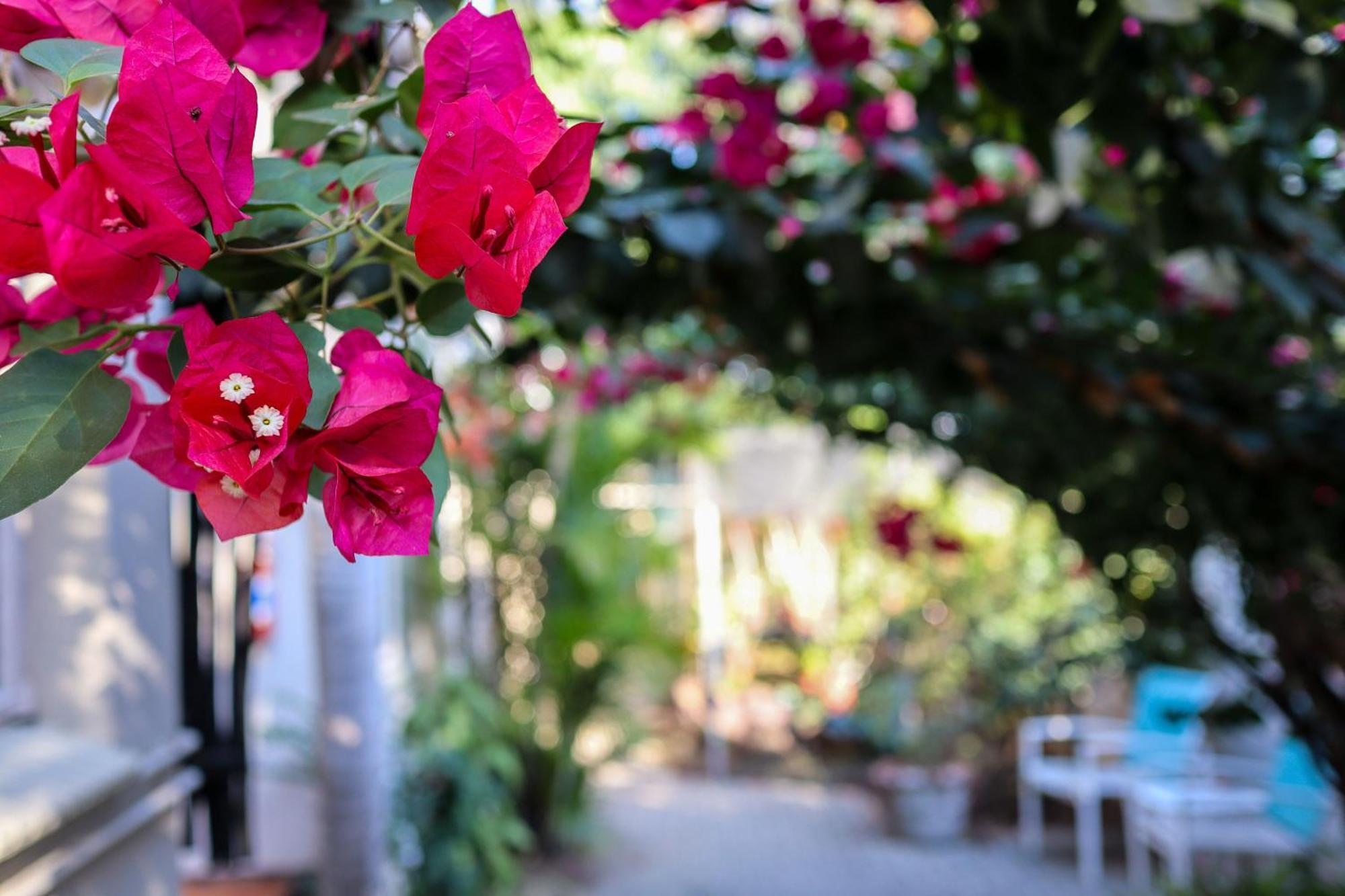 A Traveller'S Palm Hotel Phalaborwa Bagian luar foto